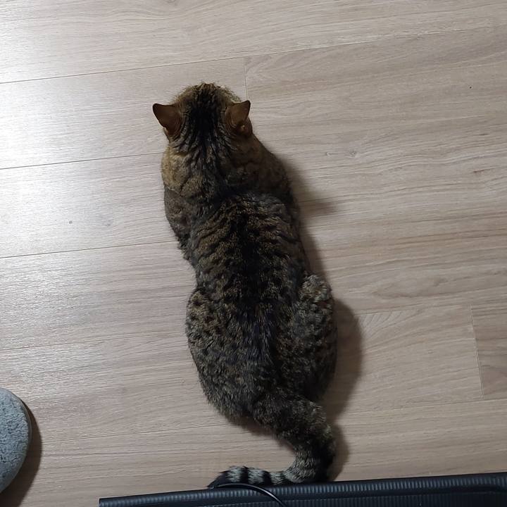 76ee0030 d67b 46d1 8487 857502793732 1637790209955