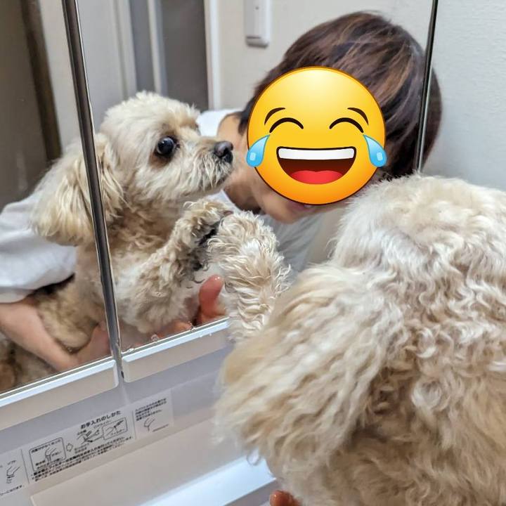 76ee0ea9 d8fc 44b6 8939 c68ca12e6899 1690192495348