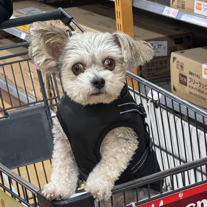 76ee3eb7 8f3d 43d3 b4d9 14cd2dd38164 1774763659111