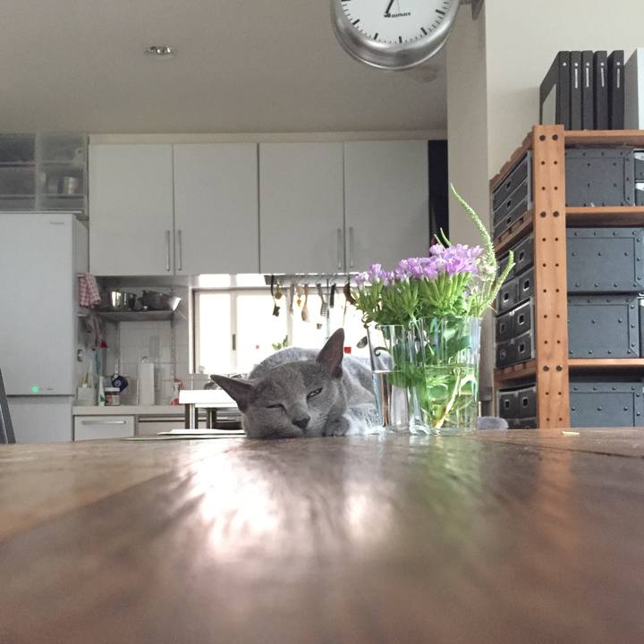 76ee5c72 4793 40e0 bc35 eccb073f0548 1533251857503