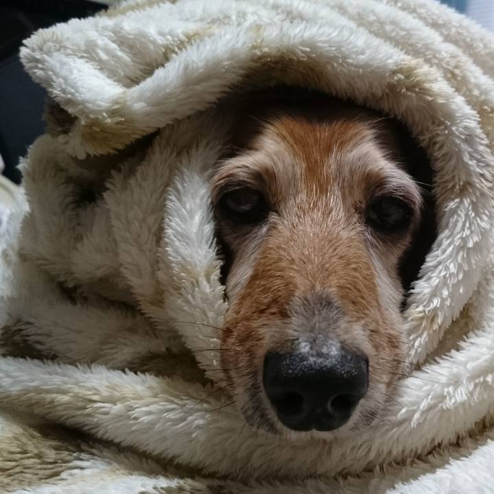 76eea07f 041d 47f8 b390 7aa5315b1ce2 1570814912366