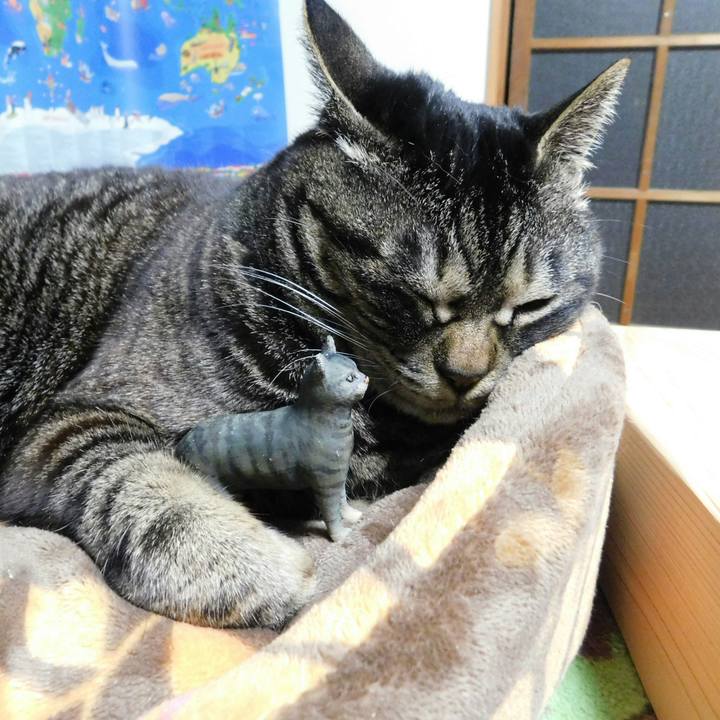 76eea711 2bc8 494e 8520 c925f2f5a3b0 1523459572465