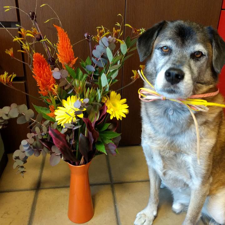 76eedb31 660e 4233 8661 f3b15e89c17d 1541304674956