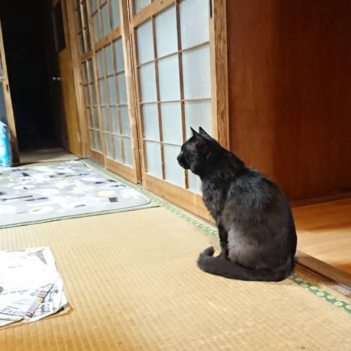 76eee0a8 30a5 4ac4 b253 da278e97596a 1624276167355