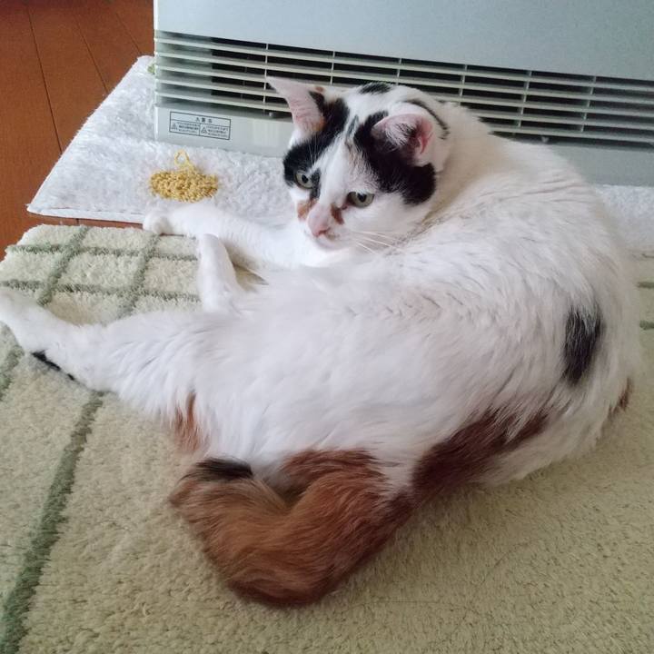 76eef8d2 af1b 4c9b a9ae 7bcbd0894a48 1611270932142