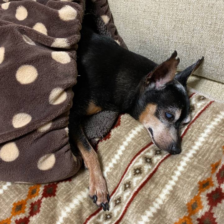 76ef104f aaaa 44d9 bead 4f8ec0d9be5b 1576414714138