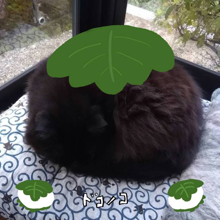 76ef5a30 aa6d 4d18 905a 99cbd63a5b55 1749281196991