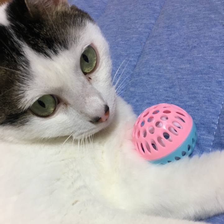 76ef5a3b 61d6 4deb a664 1697c286c810 1566724599089