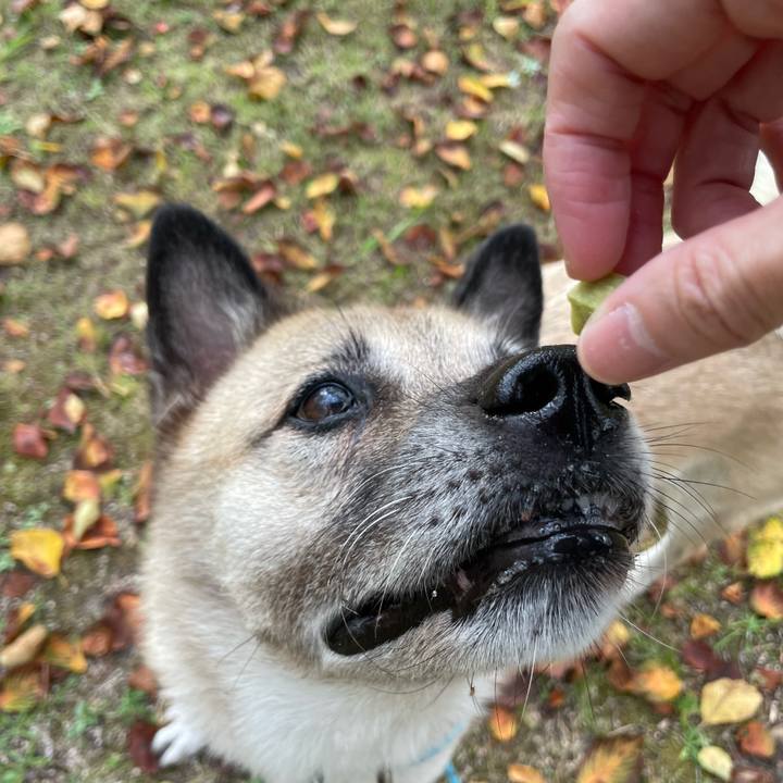 76ef7c76 e701 4b69 822b 4c49694d3f3f 1727518700925