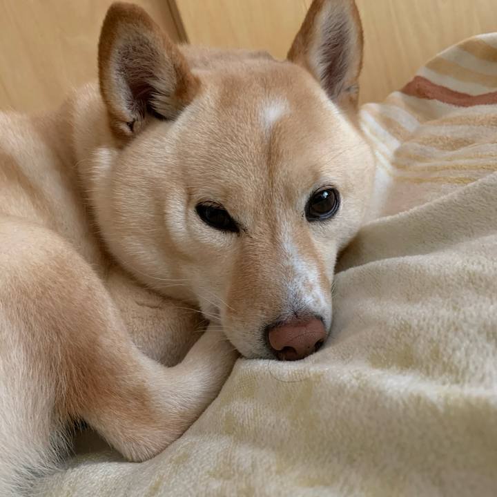 76efa661 9eb6 4f60 a80b 72be1873ec85 1614814420598