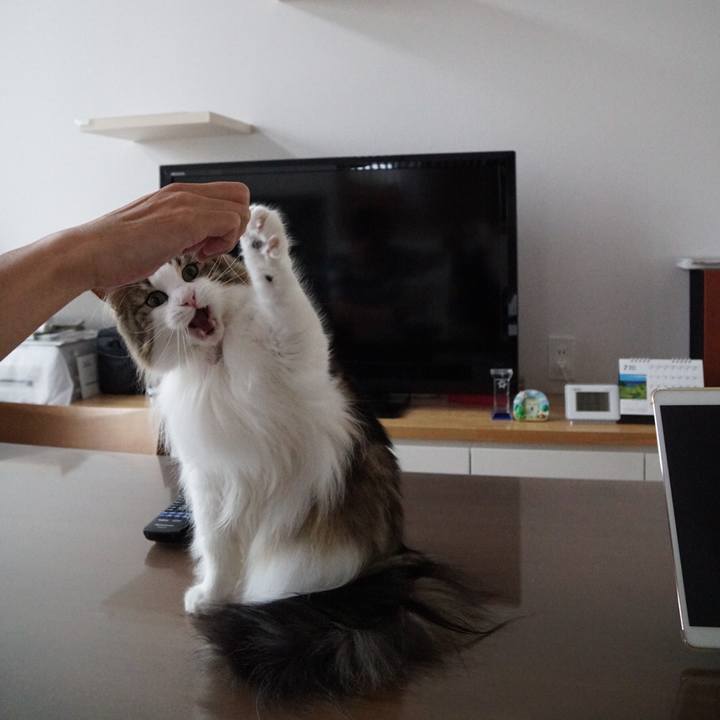 76efe302 a663 495e 8bc0 07895a434499 1562404308737