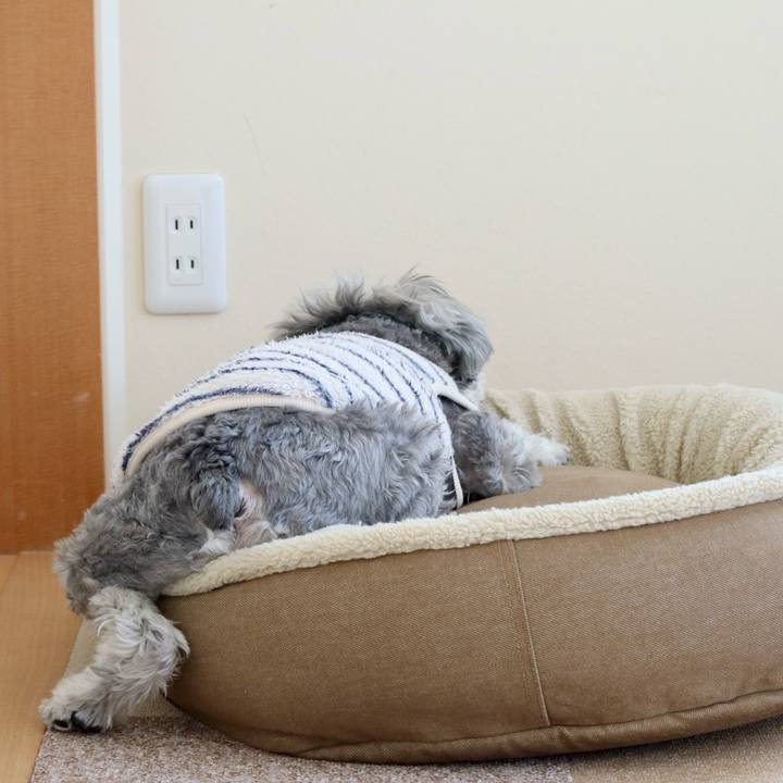 76f012d7 93ce 49d4 b222 7f7138772b7d 1763352824031