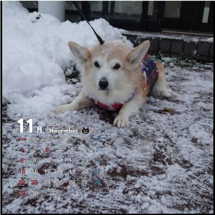 76f047c4 a016 4281 8583 b8f97513b842 1764168819196