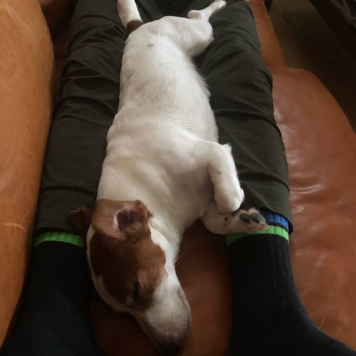 76f05db6 716e 4d9d bfb7 16517292fad0 1688959228458