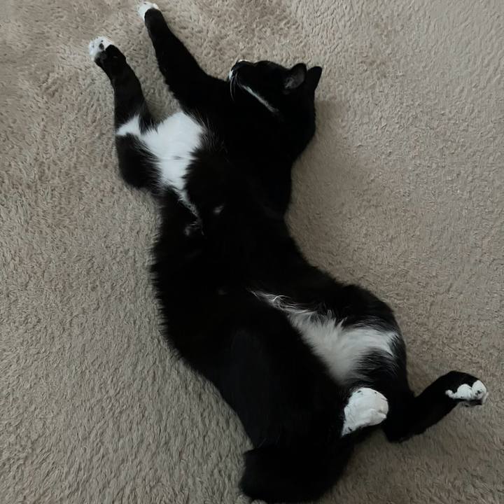 76f06db5 84d9 468d b712 4cf8ab74f20d 1704856787076