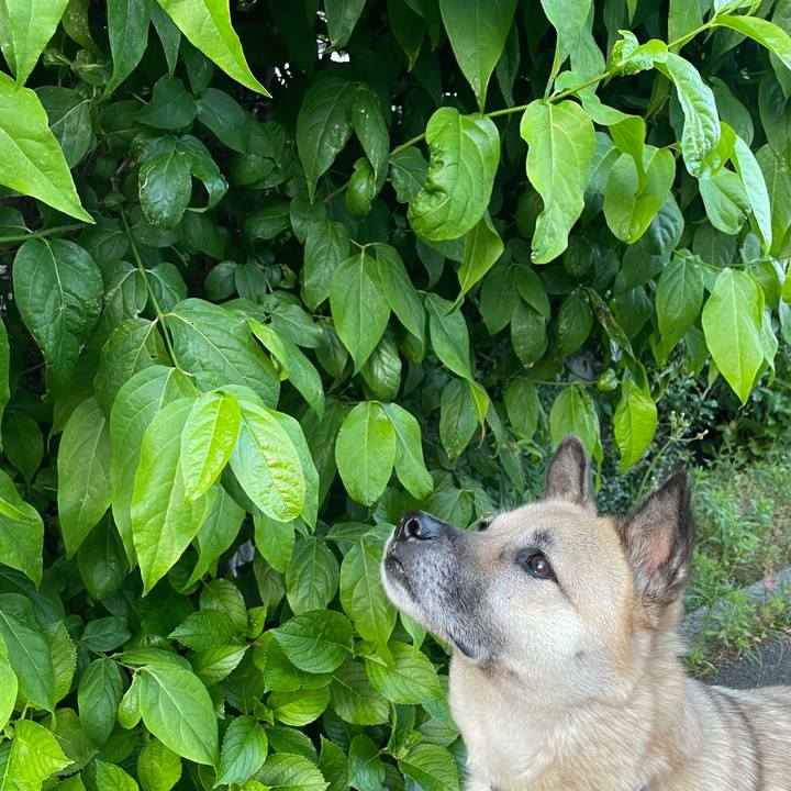 76f097d4 2a06 4d25 afd4 4a36b48842fa 1652877737724