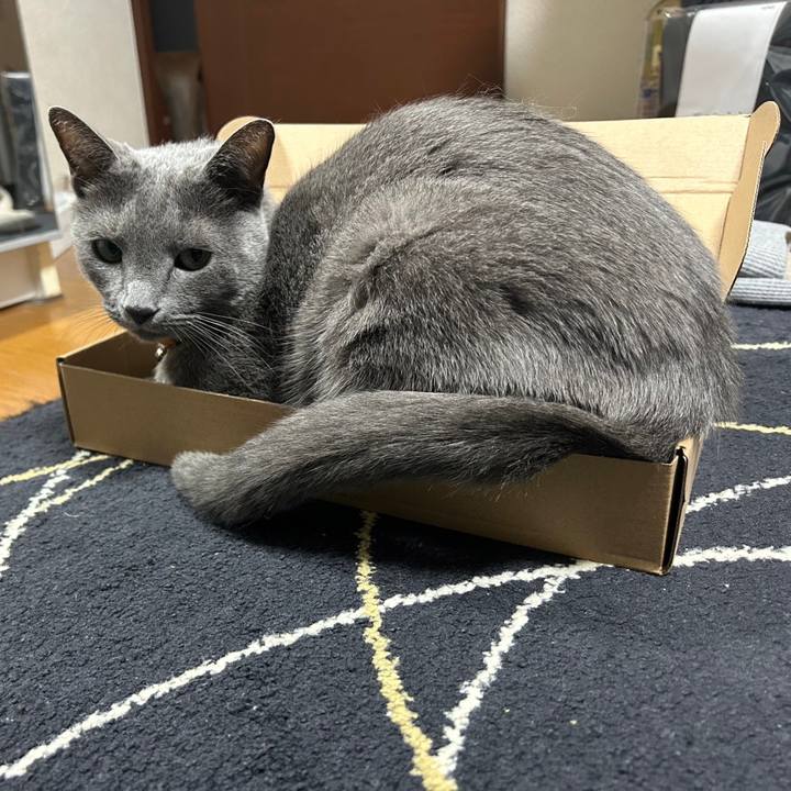 76f0b80f e088 4b55 83e9 a8e70913ea7f 1694591227026