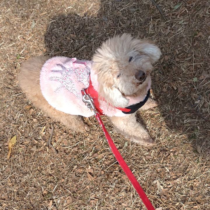 76f0d5a1 a907 42c6 a428 3f23f1ff33b2 1675490020435