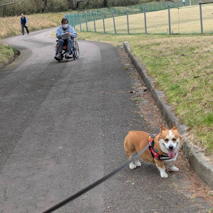 76f0e0a9 d053 49a9 9da3 13c87ed62368 1743128216626