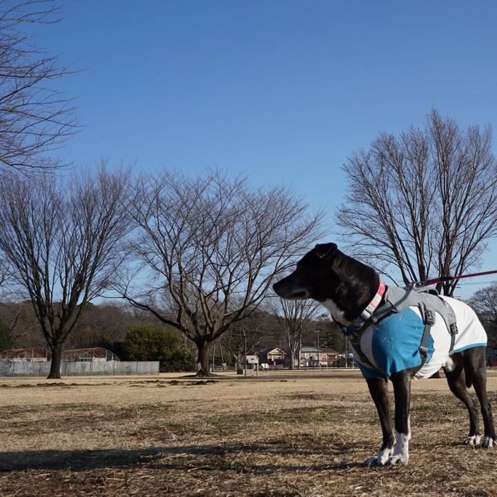 76f0e603 4e23 4820 965e 6c496b75b9ca 1768698687004