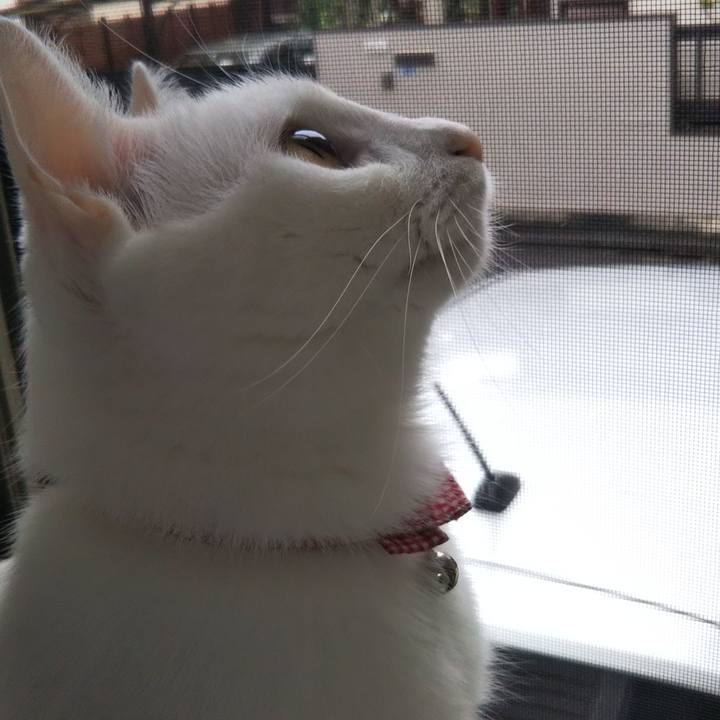 76f0eb6f 966f 4f4d af67 53d3f7766233 1625441553050