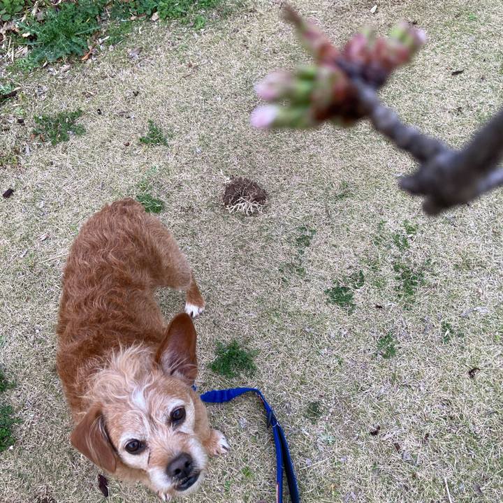 76f0f1d4 02a3 47ca b570 6b8164257802 1711789931784