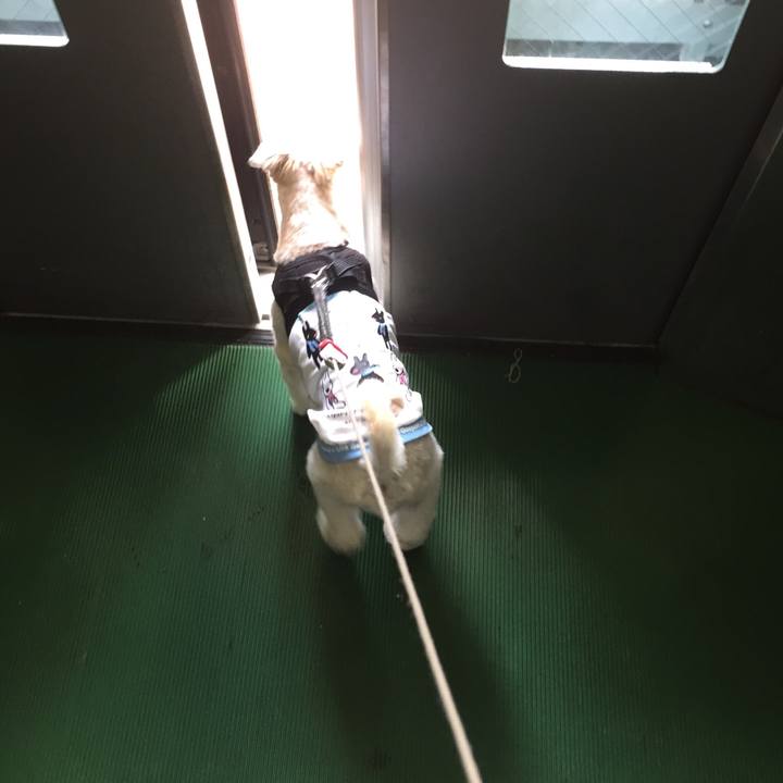 76f10c44 1d52 4c5d a661 3240ad1598dd 1531527375551