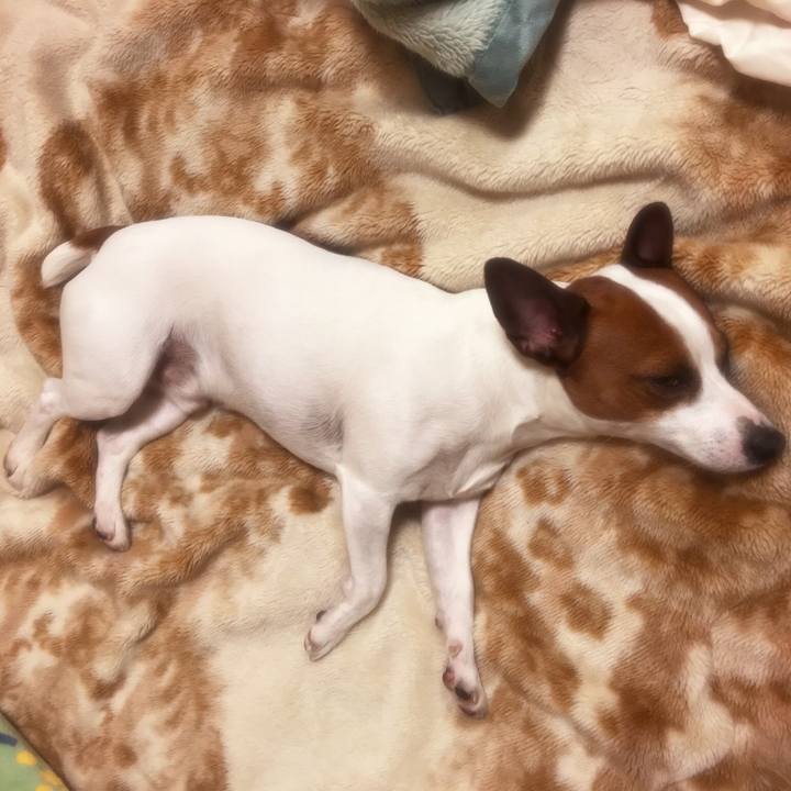 76f15077 eb3b 4dc4 97ba a0463ddfa627 1516398688683