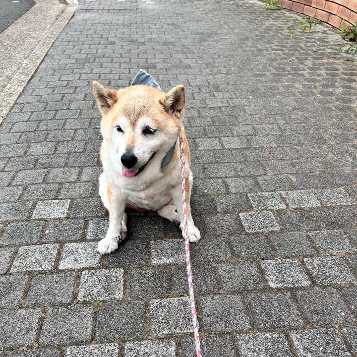 76f17163 6274 4a73 9168 2b8a61b512cf 1752450200149