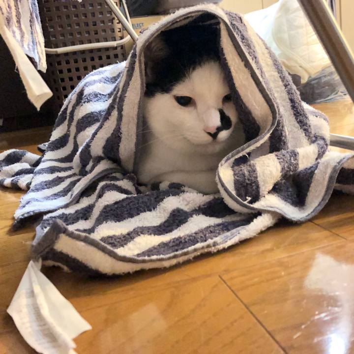 76f1936d 083e 4e96 8549 b3c0d1c8c0d4 1538056542636