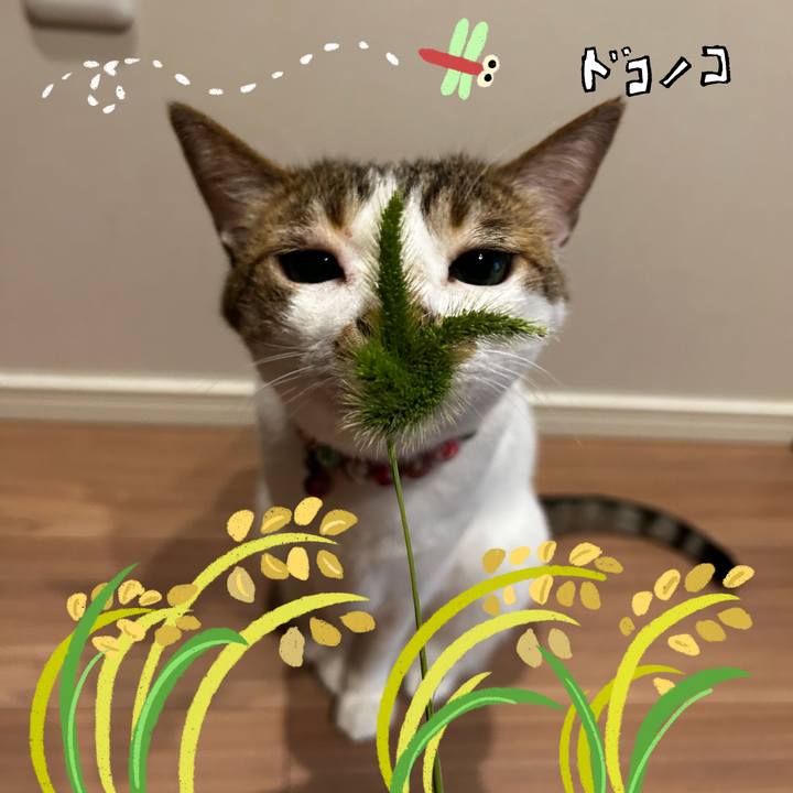 76f1aa41 3c47 4186 9d75 203dbe649d7b 1761481961289