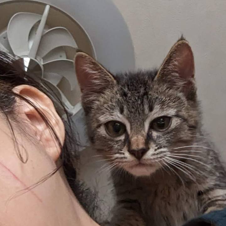 76f1c304 68cc 49f1 9d83 7a3cfb28401c 1700106861282