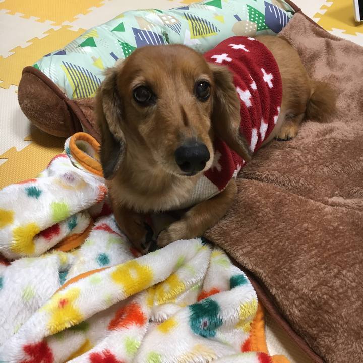 76f22c50 49aa 430e a7ff 86dc1be934b8 1577714341535