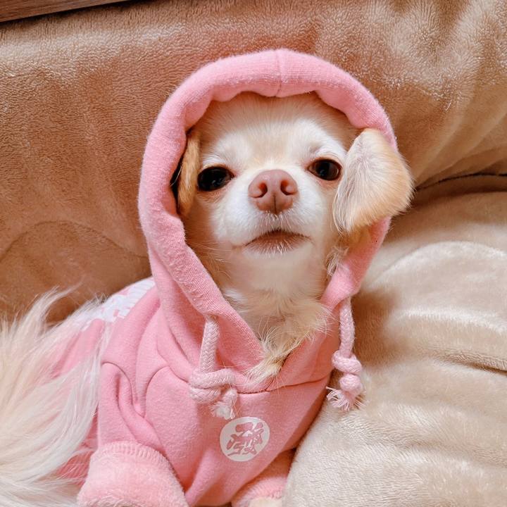 76f23130 2647 4190 86f4 e3e6aef0e44d 1669011337408