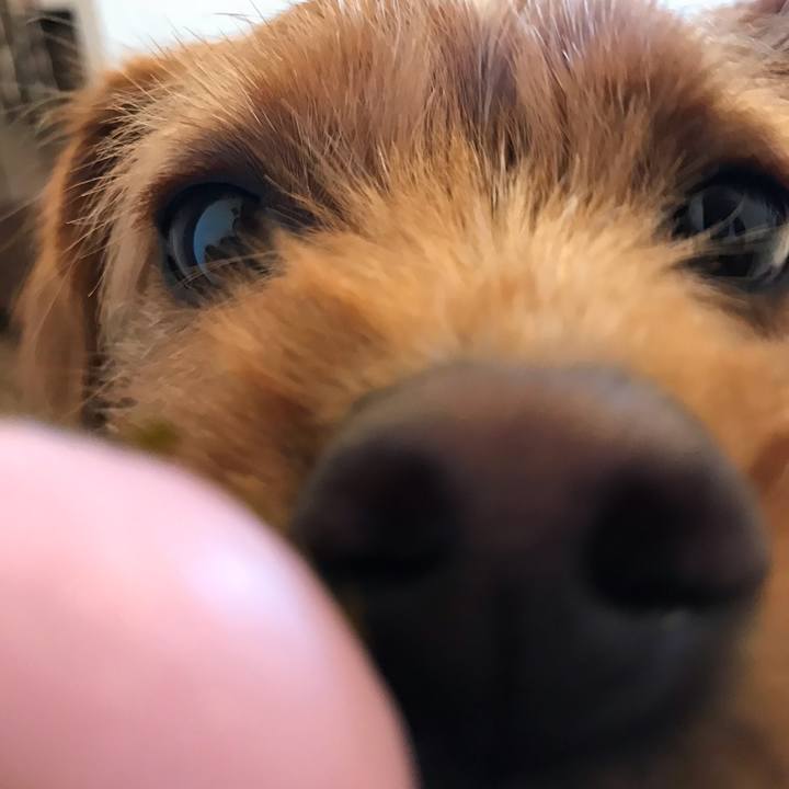 76f246c5 0e0c 472d a515 b9ffefdb5045 1556358647429