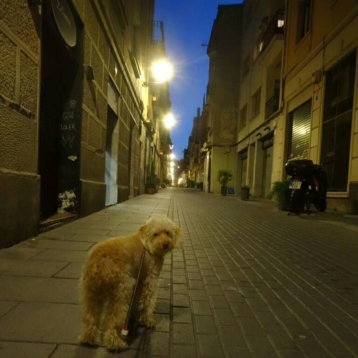 76f25ee3 7487 41d5 b408 df8ef29e19b9 1588795205965