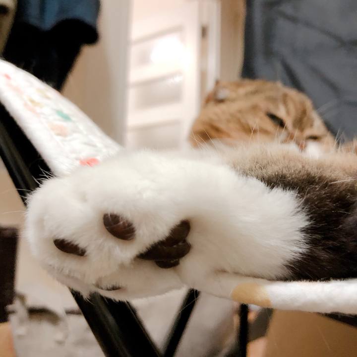 76f29ccf 189e 4037 8d7b e9f144366033 1558695772475