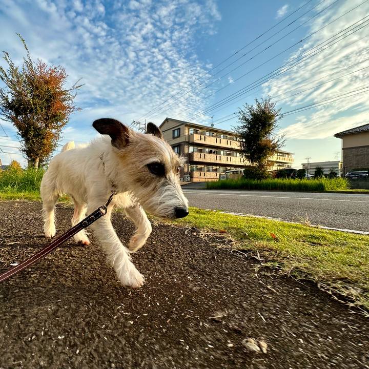 76f2a2af cf67 4a1b a267 e473cbbc19b4 1730837613764