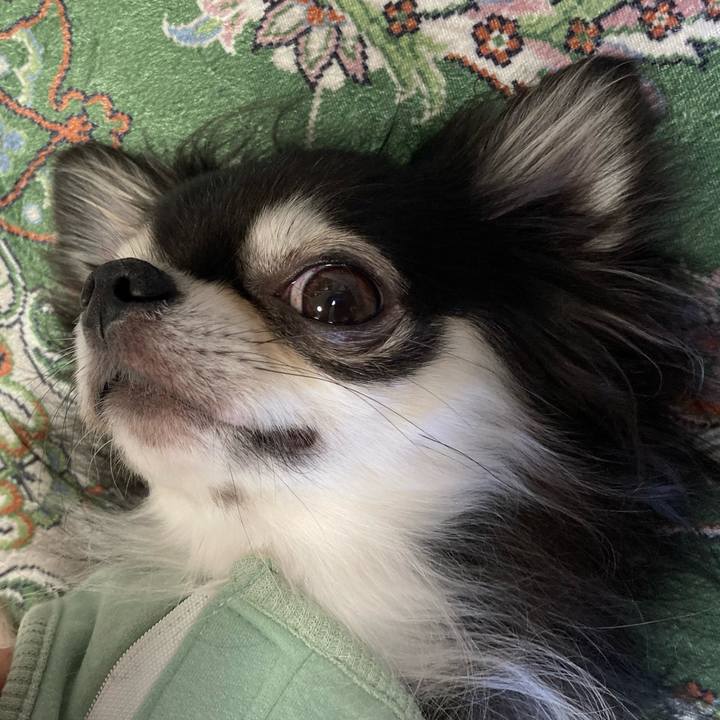 76f2ac74 e465 4354 b754 d7ef9de131bd 1668263912349