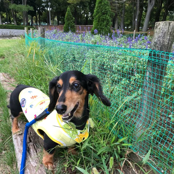 76f2cde8 262c 4f72 b3e5 8374d705435c 1537183847812