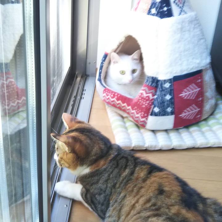 76f2e604 155a 463a 8d36 470929ebf40e 1656117549912