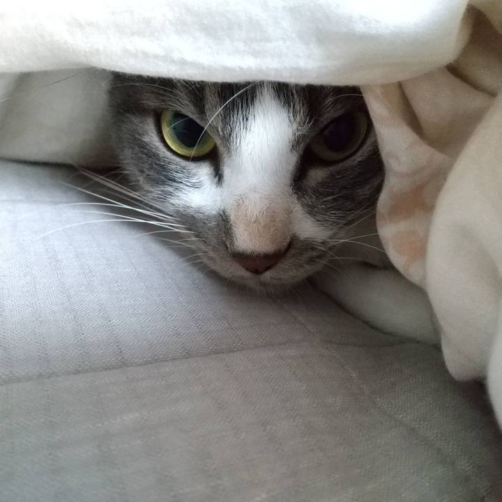 76f2ec93 ab63 417e 8c06 249462a3870c 1602207054416