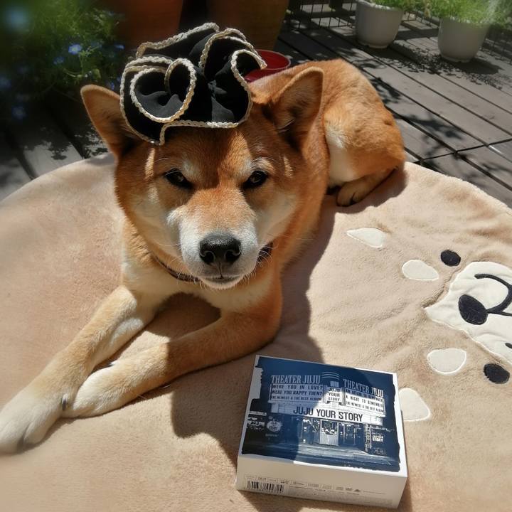 76f3068a b317 4b8d ad80 e3815d5f2ecc 1586572641557