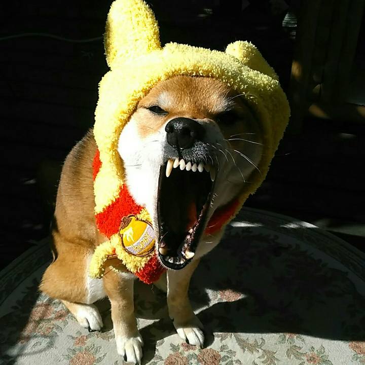 76f324c9 0839 433f b857 2ddb50027015 1549935154354