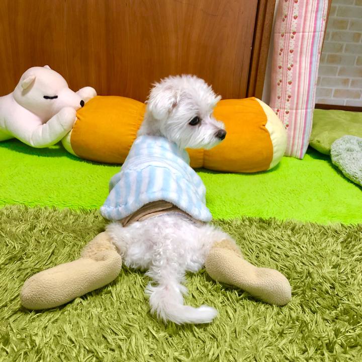 76f347eb 26c8 41b3 b523 5902afc4bf44 1545464368255