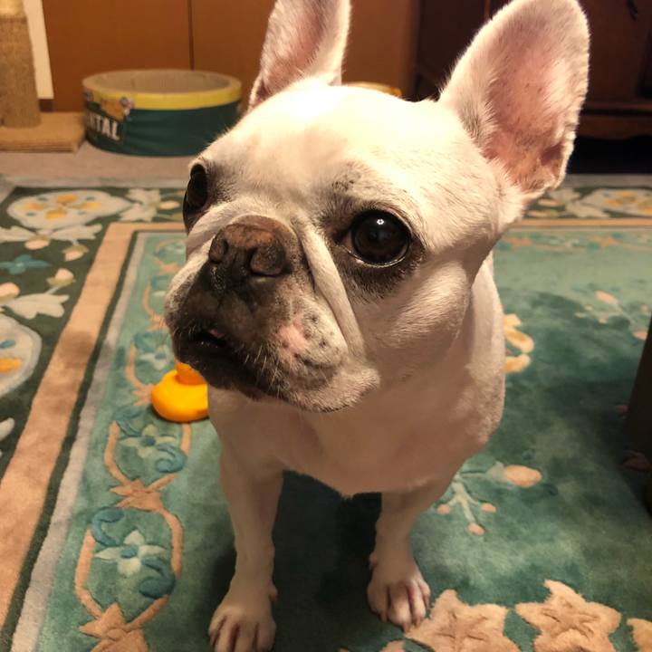 76f368ca b6cc 4418 8e03 3bd0dc4302b3 1626959123109