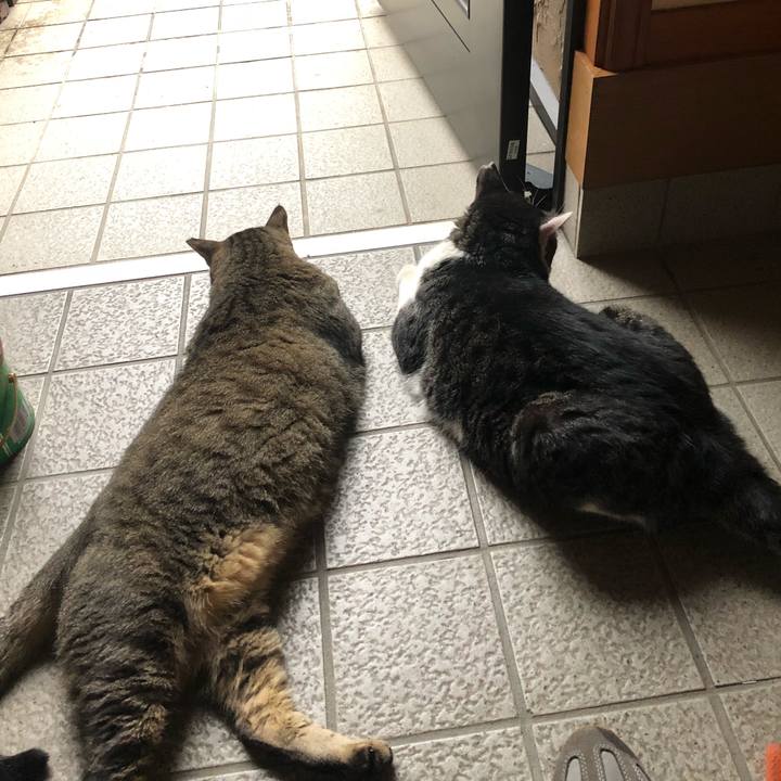 76f37bb1 05f4 4e1e 8525 3a33cf2ec19c 1534215460778