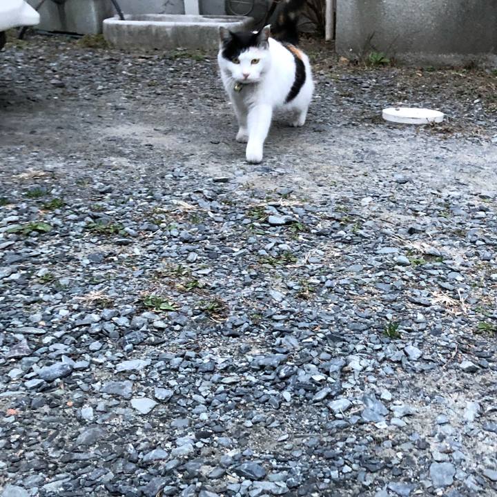 76f39fa3 c309 4286 b9fe 402eb097658c 1614207346295