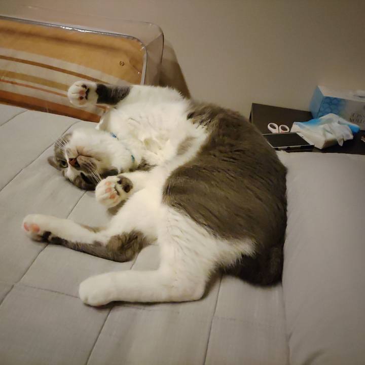 76f3d916 07e9 4a5b bbf4 a719757a7460 1664201774573