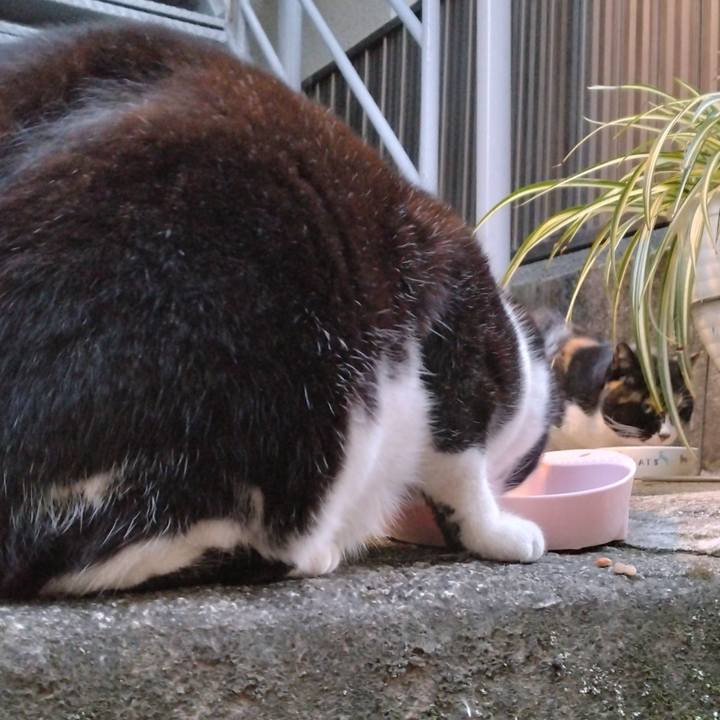 76f3e25b b7ea 4eab 9239 ac761d1af5e4 1702798806309